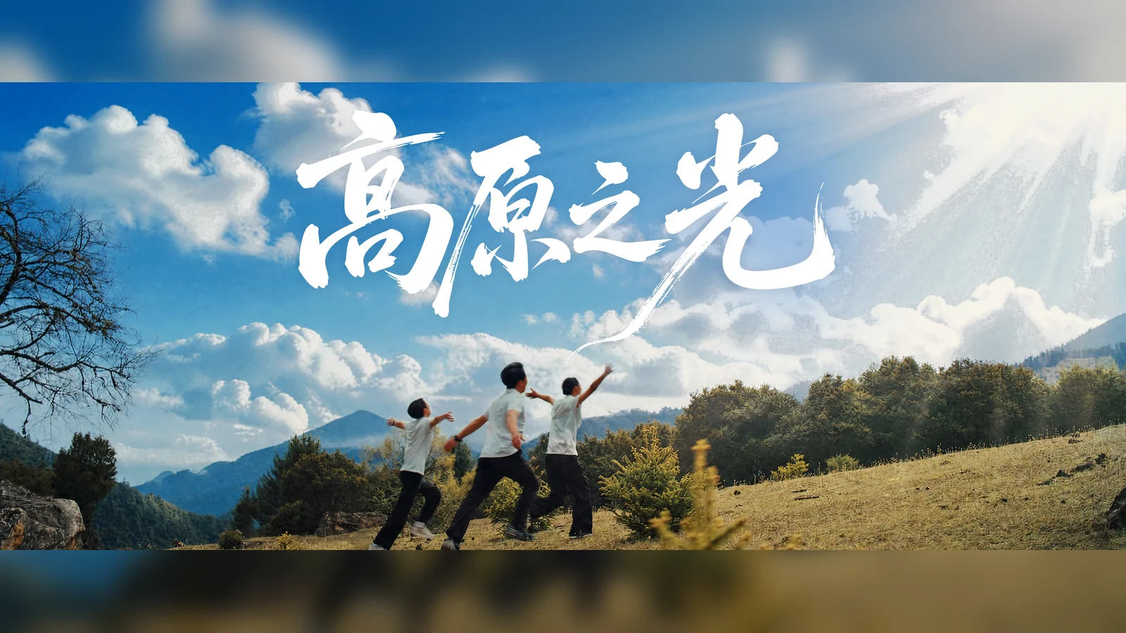 《高原之光》案例海报