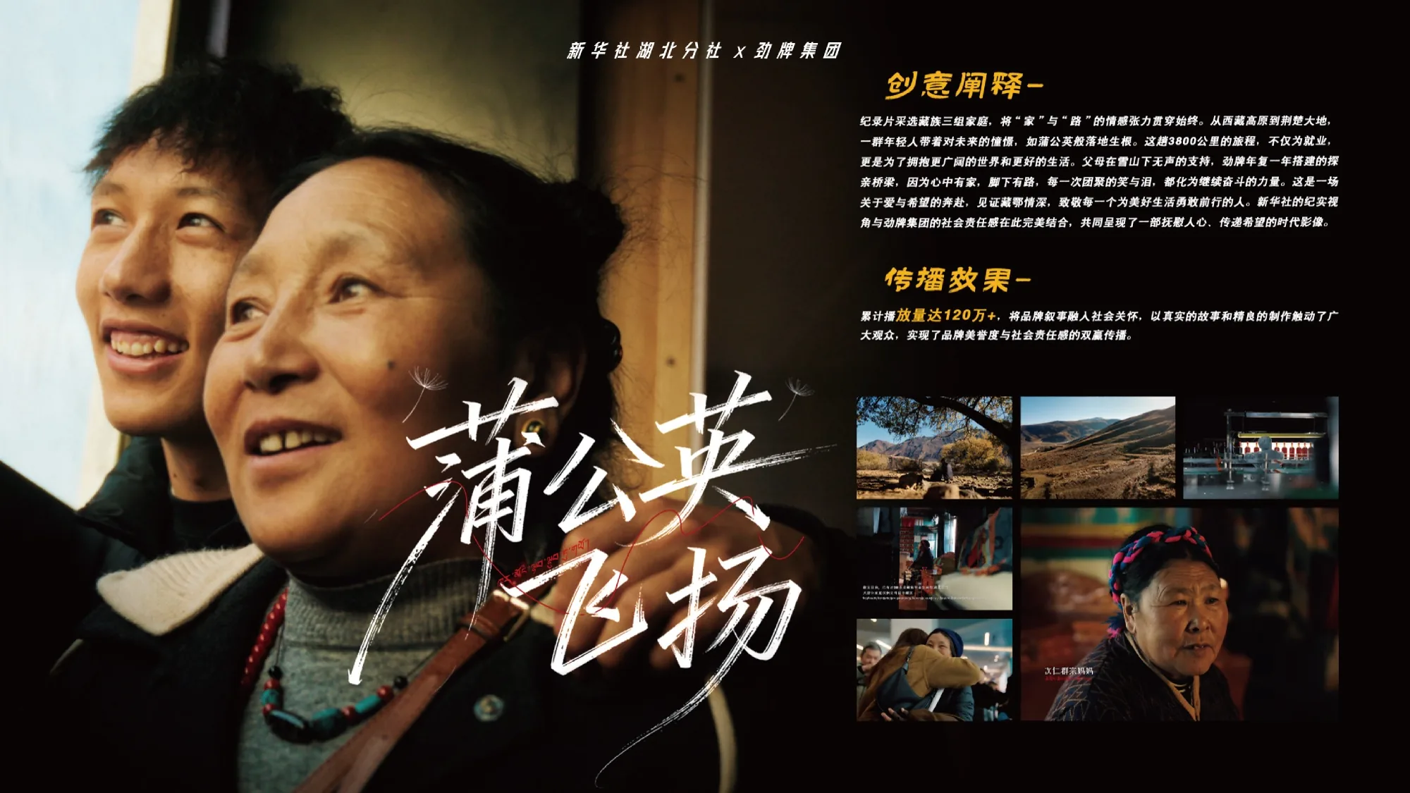 《蒲公英飞扬》案例视觉